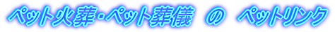 ������y�b�g�̑��V�E�Α��@���S�����̃y�b�g�����N�@�ʉΑ��@���P�Q�C�U�O�O�|���